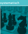 systematisch - chancen nutzen